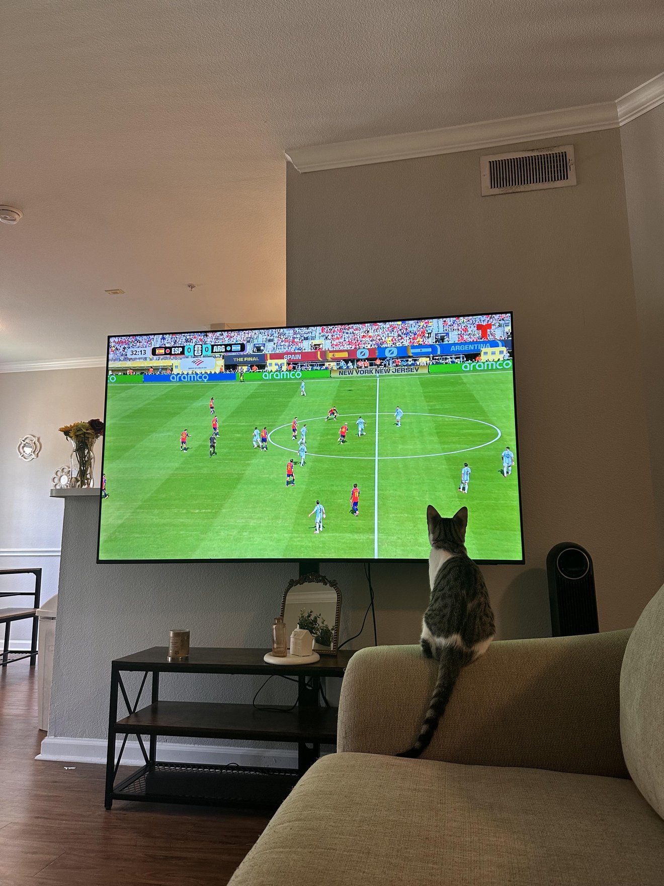 Tabby and white cat sitting on beige couch watching soccer game on TV