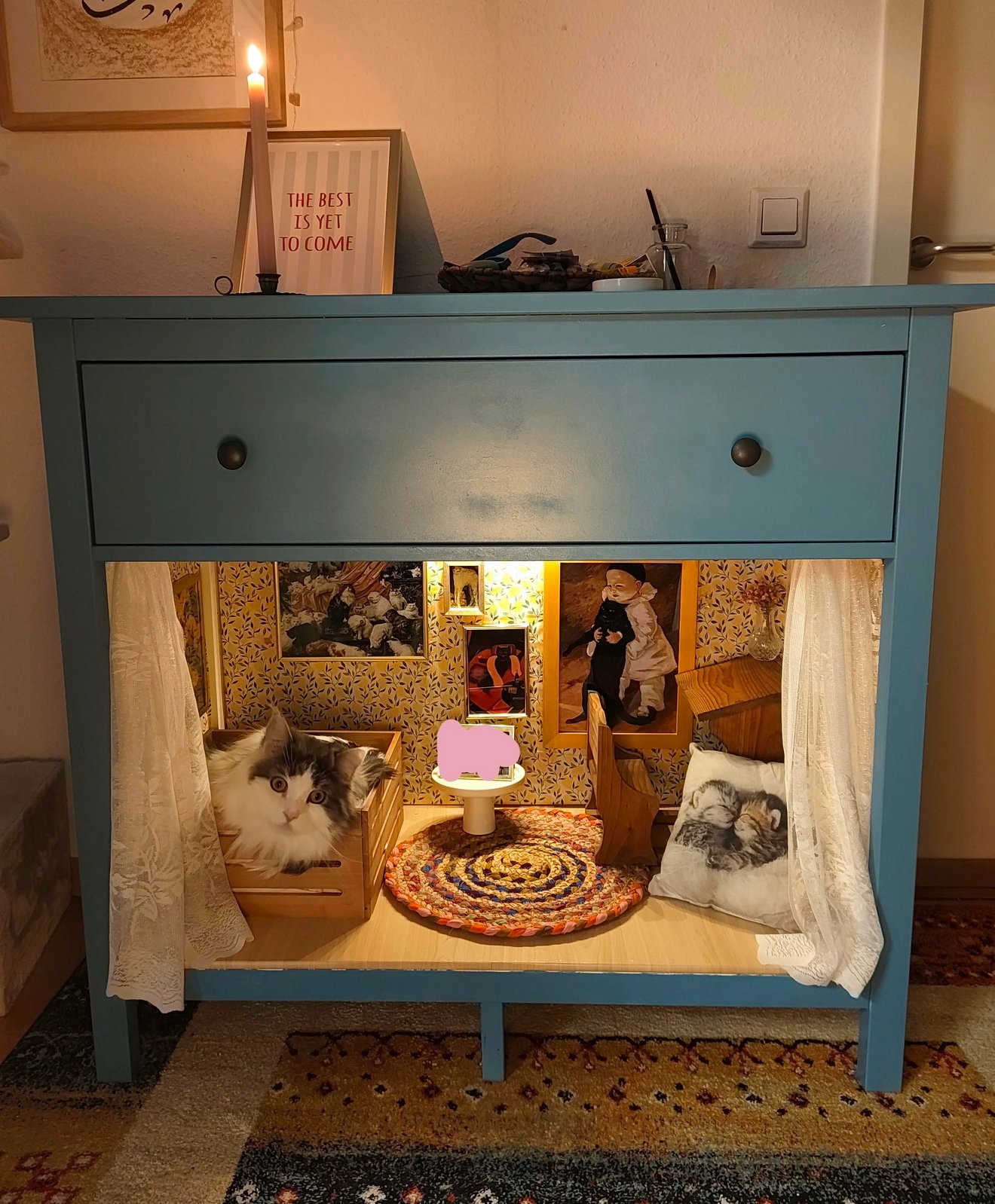 Tuxedo cat peering into a blue dresser converted into a miniature dollhouse with furniture and cat portraits