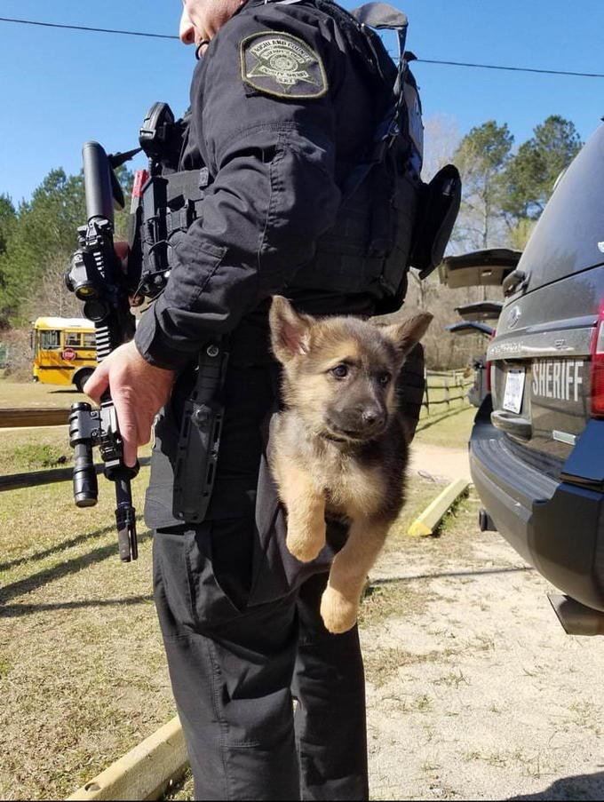 Police officer in tactical gear holding a happy tan and black dog during what appears to be an official sheriff department gathering