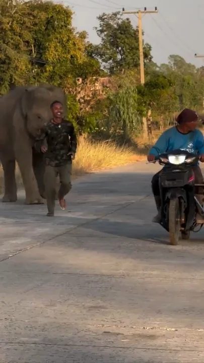 Man walking alongside an elephant on a dusty road with motorcyclist nearby