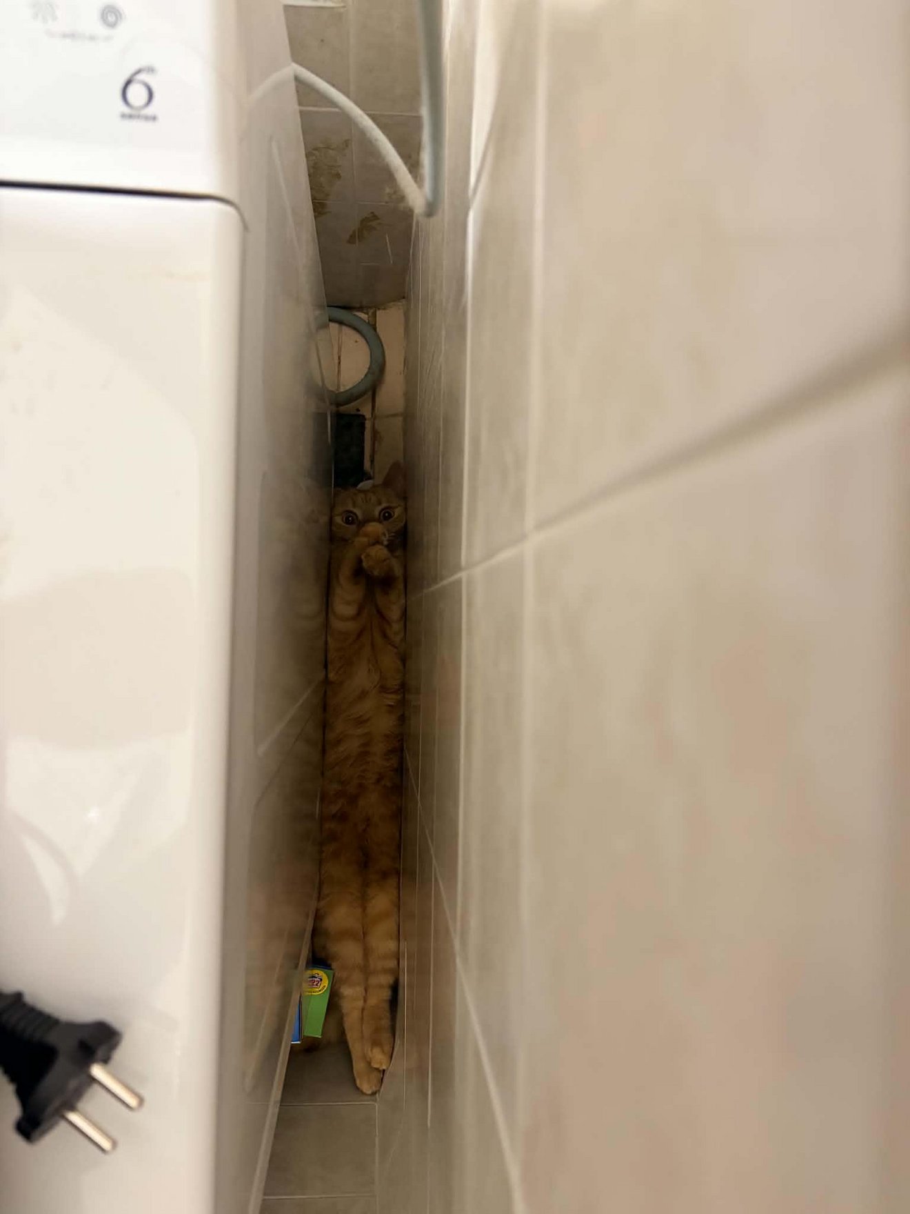 Orange tabby cat stretched vertically in narrow gap between refrigerator and wall, looking up with wide eyes