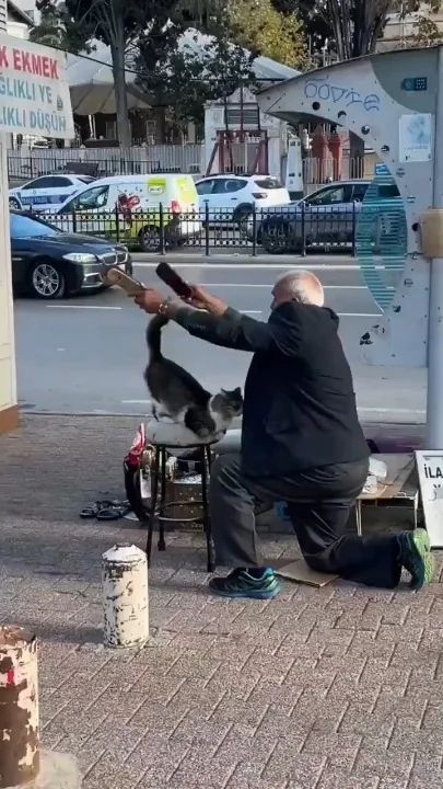 A man crouched down grooming a tabby cat on a city street while parked cars and storefronts are visible in the background
