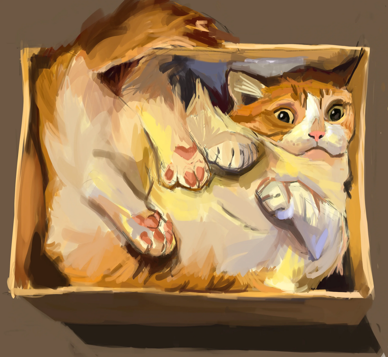 Orange tabby cat squeezed into a wooden box, looking surprised with wide eyes and pink toe beans visible