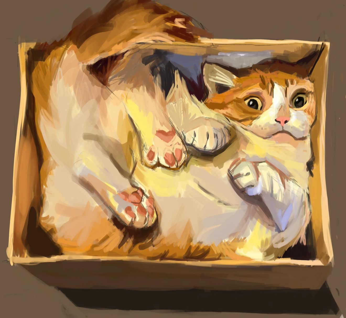 Orange tabby cat squeezed into a wooden box, looking surprised with wide eyes and pink toe beans visible