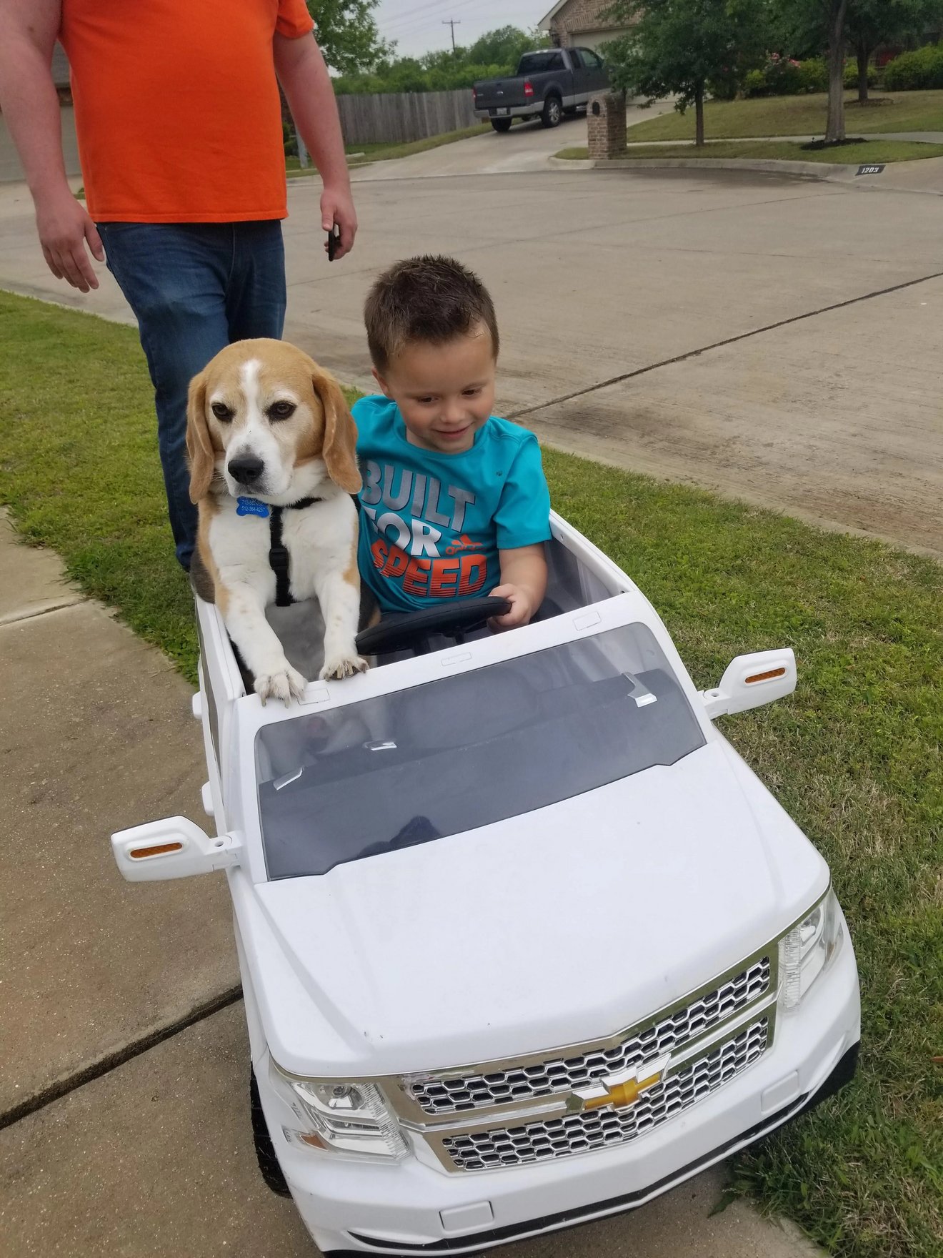 A tan and white dog and young child sit together in a white toy Chevrolet truck being pulled down a residential driveway