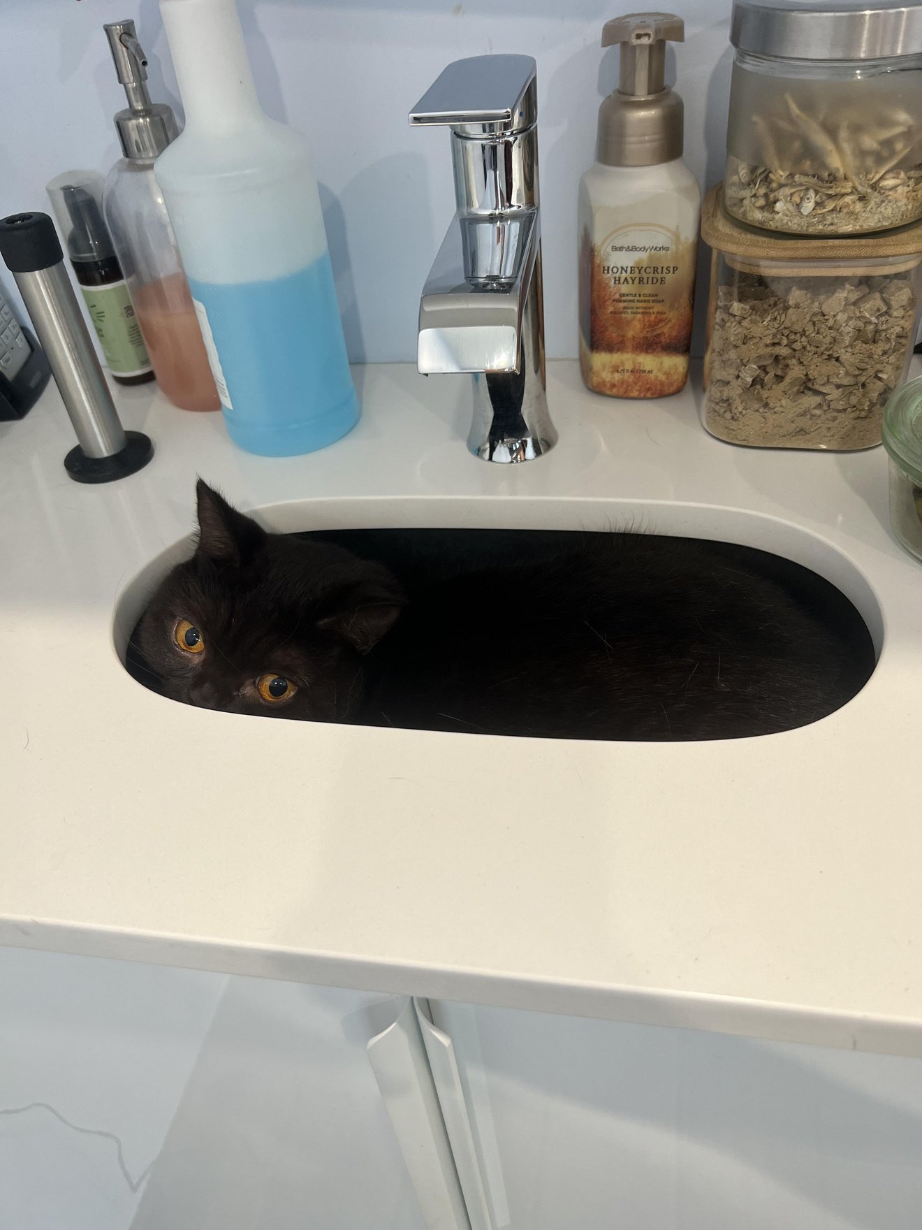 Black cat crouched in a white bathroom sink surrounded by bottles and bath products