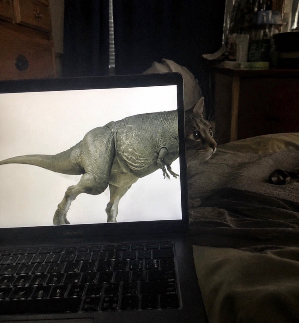 Tabby cat sitting beside laptop displaying a dinosaur illustration, looking at the screen