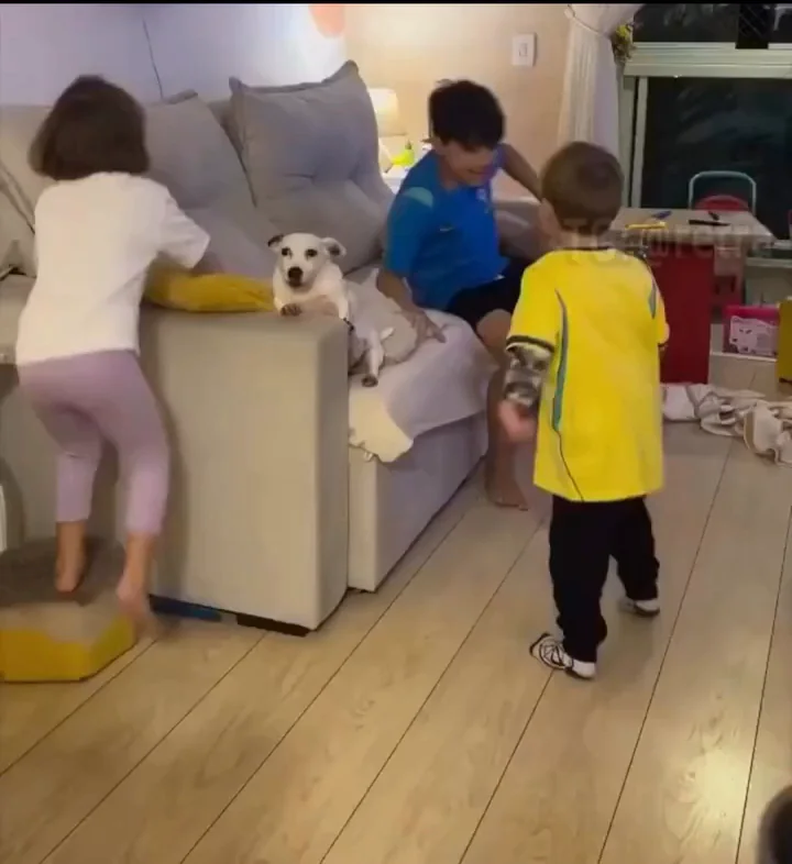 White dog surrounded by three small children in a living room, sitting calmly on a gray couch