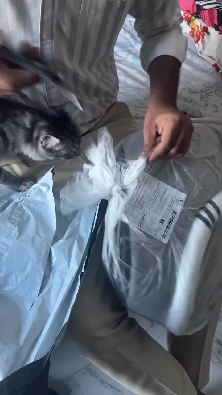 Person holding torn plastic packaging and receipt while cat sits nearby on a bed
