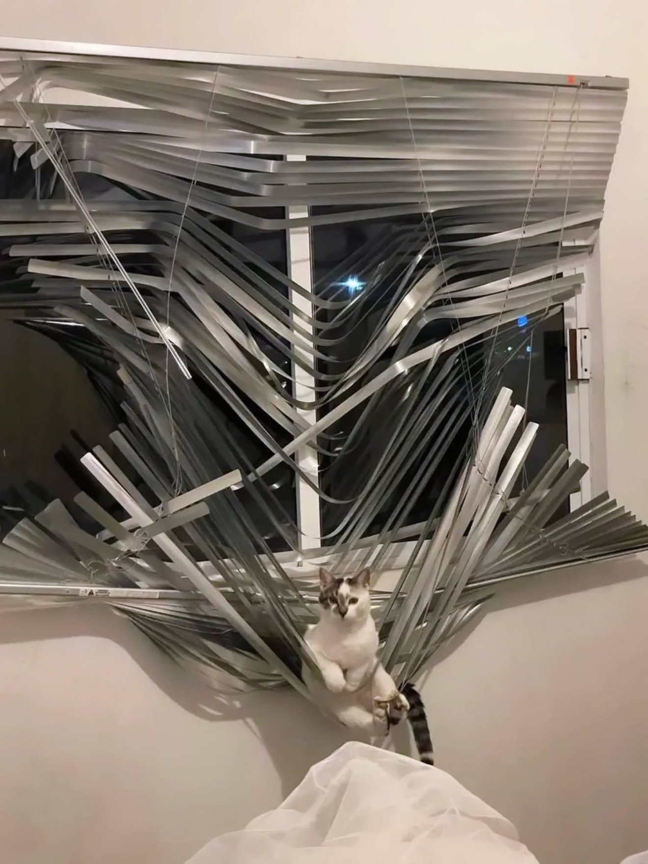 A tuxedo cat tangled in vertical window blinds, suspended mid-climb with a playful expression