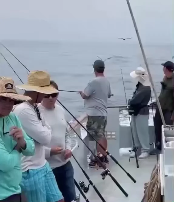 People fishing on a boat with an owl perched among them on the deck