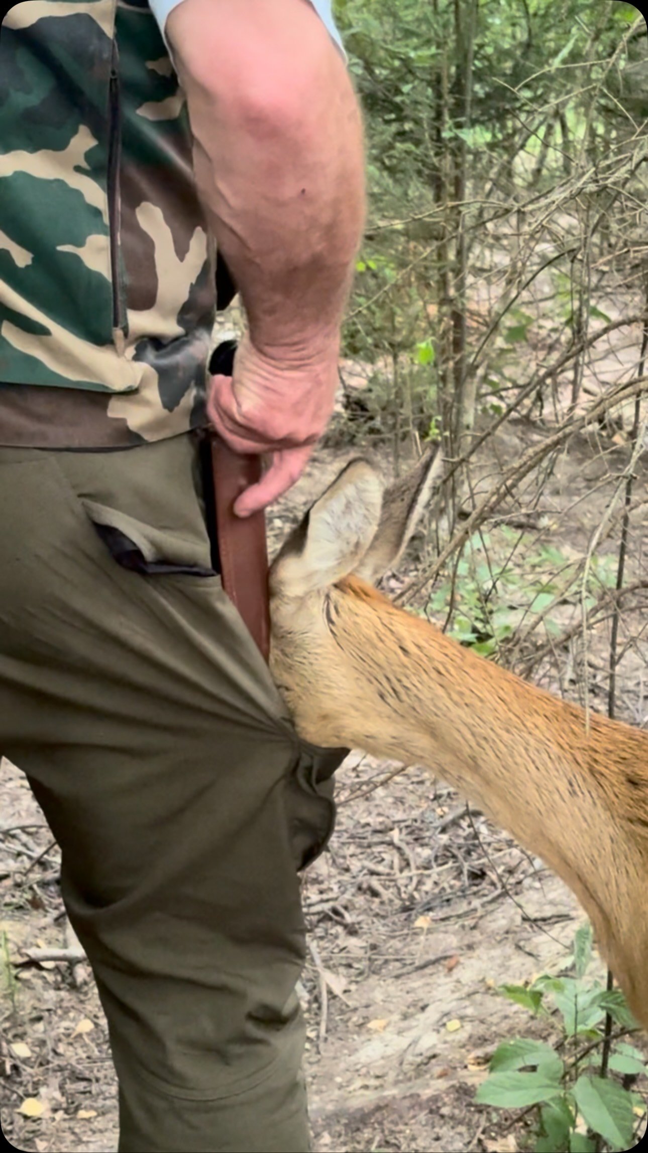 Person holding out hand to feed a tan goat on a wooded trail