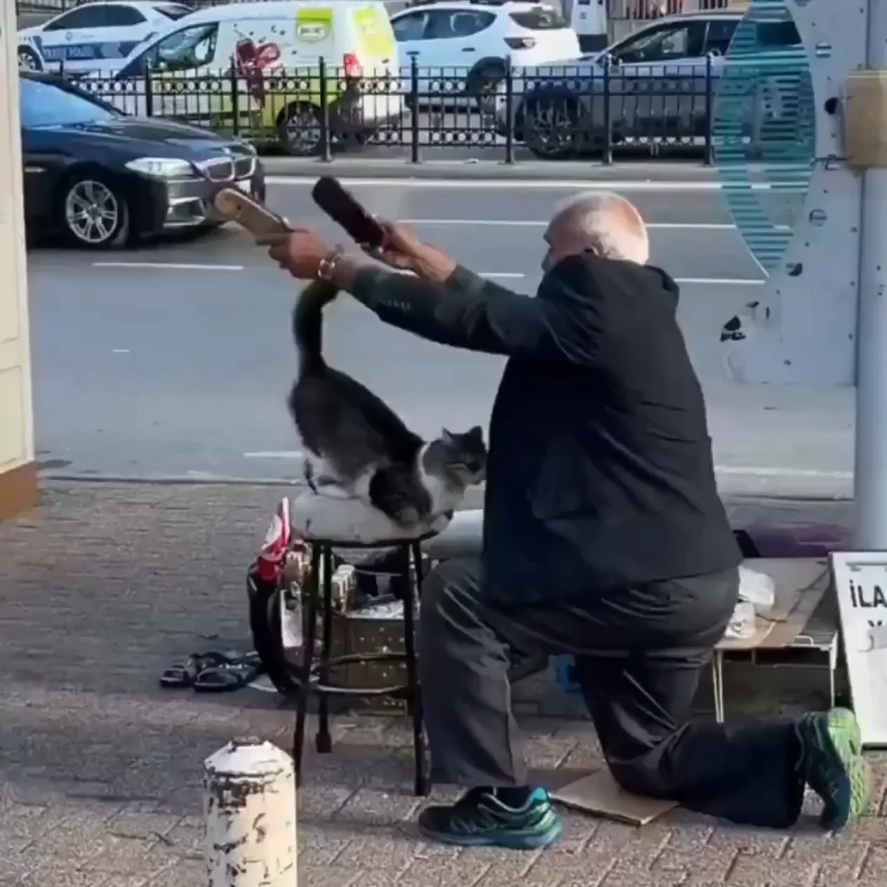 An elderly man in dark clothing kneels and brushes a black and white cat on a city street