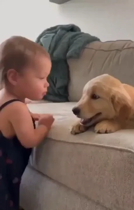 A young child and a light-colored dog lying on a couch, looking at each other face to face