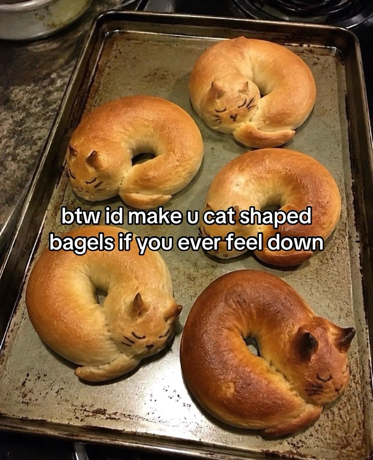 Five golden-brown bagels arranged on a baking sheet, each decorated with cat face details including closed eyes and whiskers