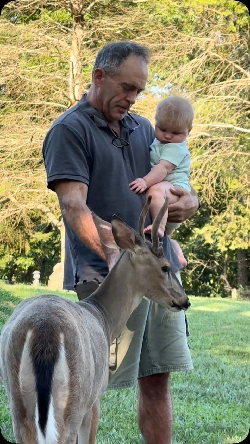 Adult man holding a toddler while petting a brown and white deer in a grassy yard with evergreen trees in background