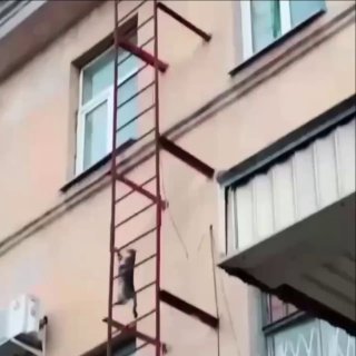 Black cat climbing up a metal fire escape ladder attached to the side of a peach-colored building with windows