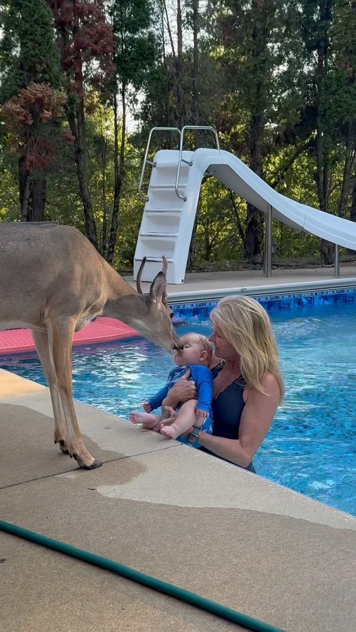 Woman holding a toddler in a pool as a tan dog leans down to greet them, with a water slide in the background