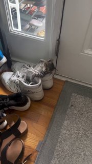 Tabby cat sleeping contentedly inside a crumpled white plastic bag by a doorway