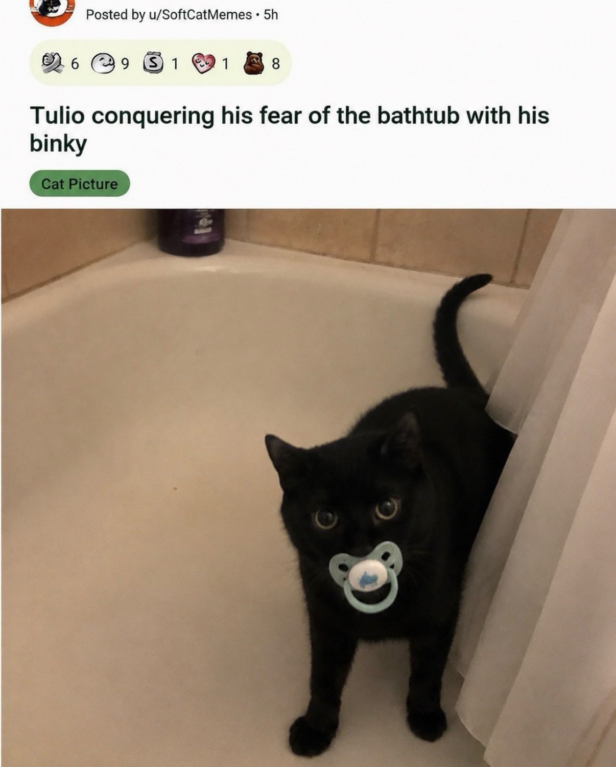 Black cat standing in empty bathtub holding a blue pacifier in its mouth, looking directly at camera with wide eyes