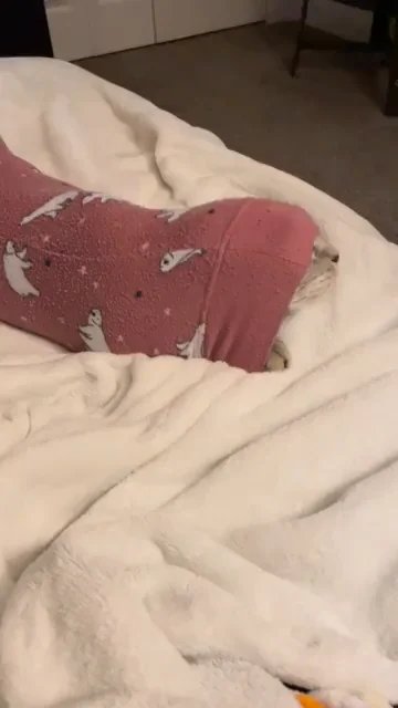 Cat wrapped burrito-style in burgundy and white blankets on a bed, with only its face visible