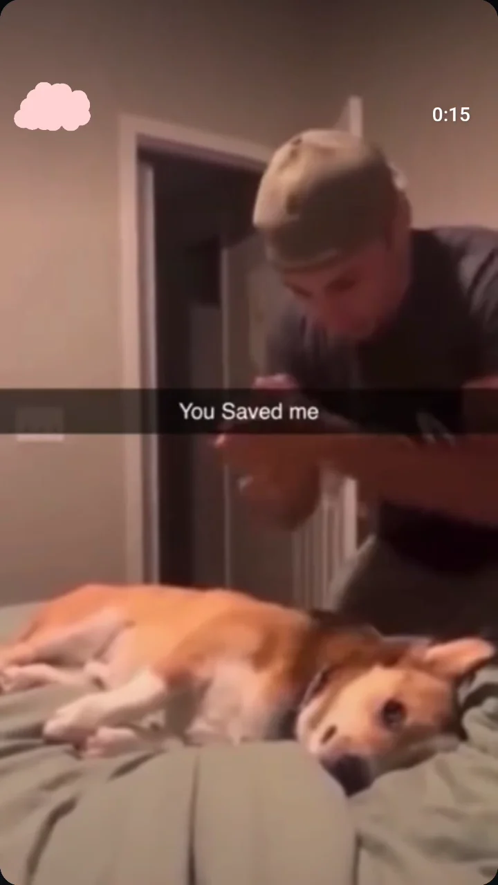 Person leaning down toward a golden dog on a bed, with text overlay reading 'You saved me'