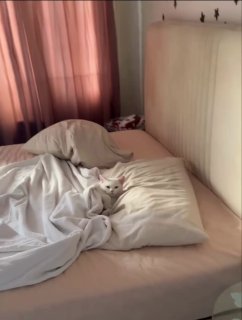 A white cat sleeping sprawled across unmade bedding with tangled white sheets on a bed