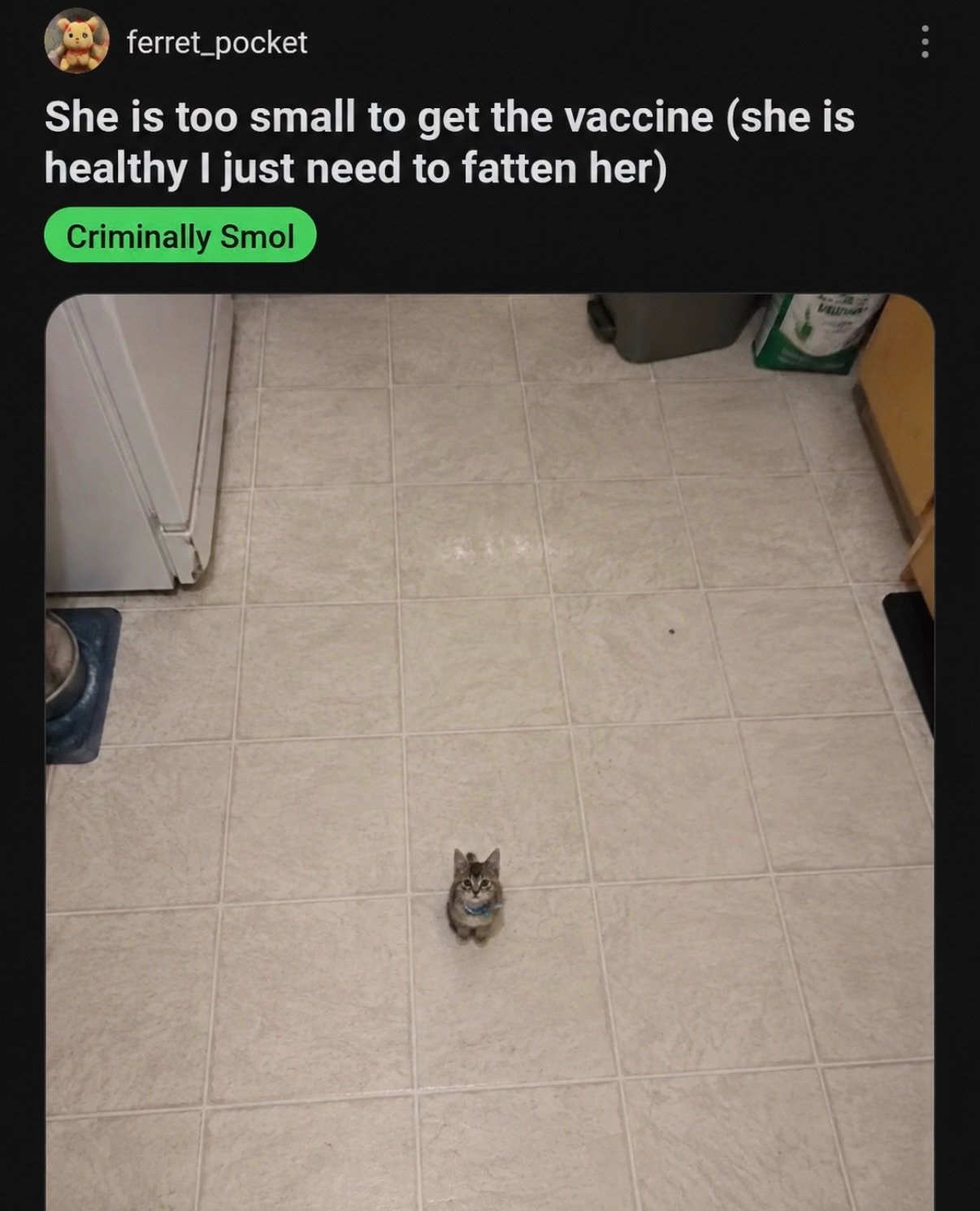A small tabby kitten standing alone in the center of a tile kitchen floor, appearing extremely small against the vast space