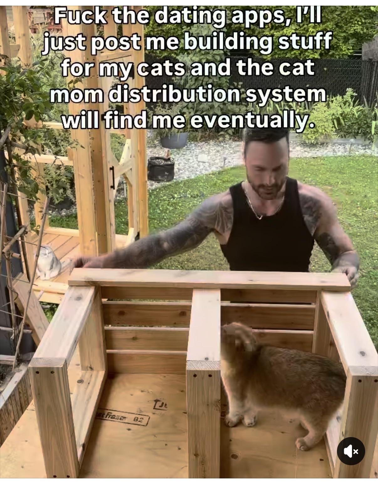 Man assembling a wooden cat structure in backyard while tabby cat inspects the project