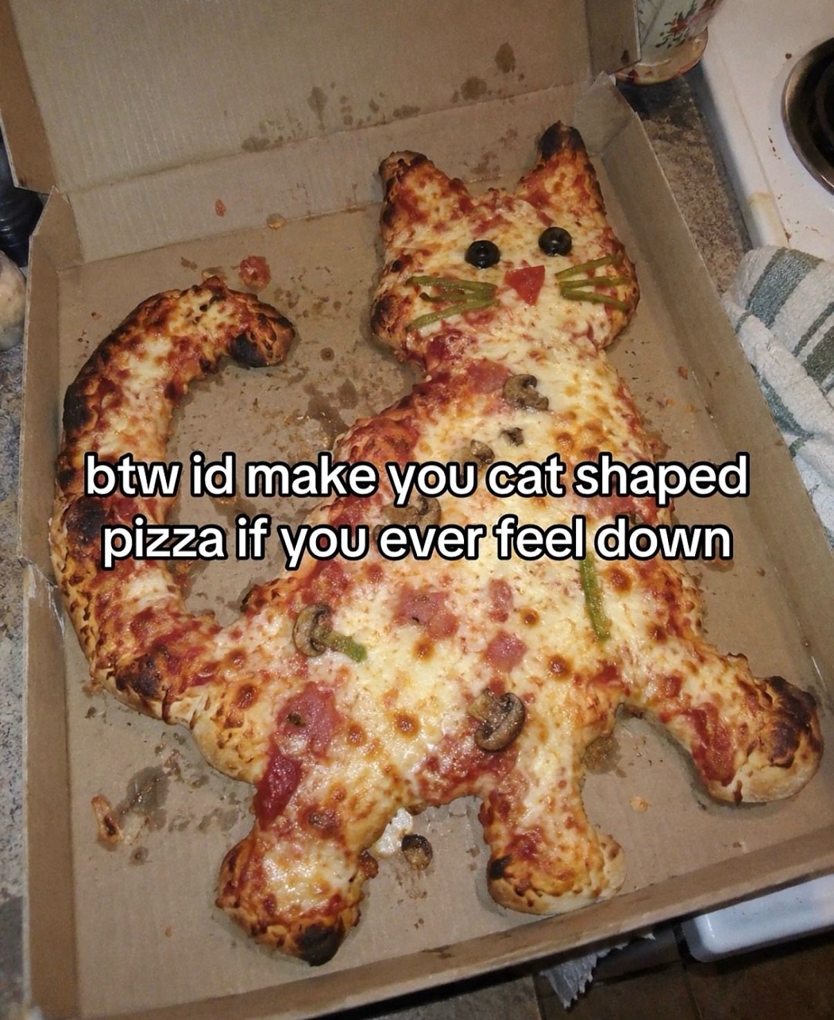 Cat shaped pizza with pepperoni and vegetables on cardboard box