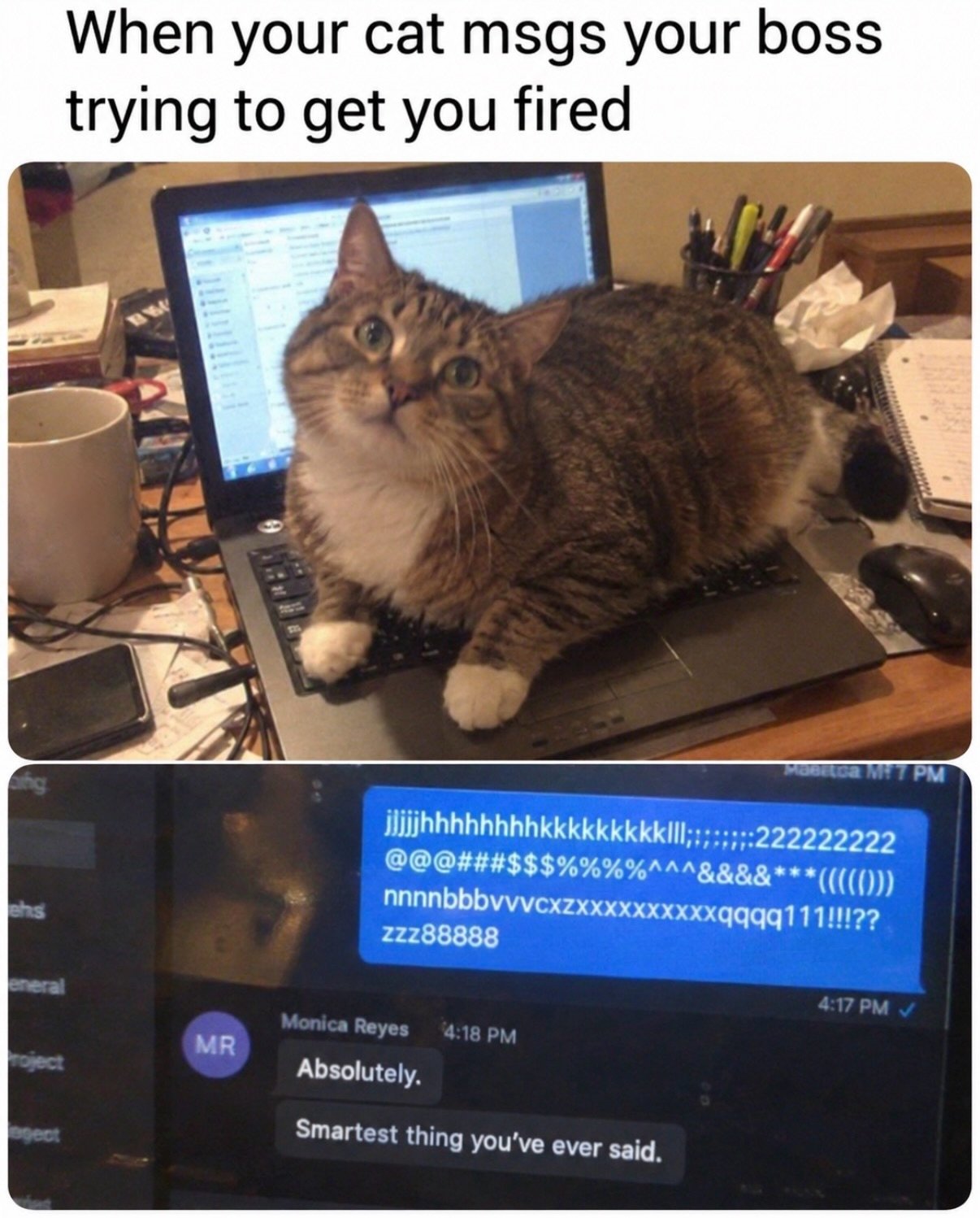 Tabby cat sitting on laptop at desk with guilty expression while message of keyboard smashing appears on screen