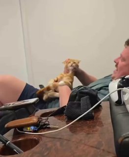 A small tan dog sits on a person's lap while they hold a gaming controller, looking playful and mischievous