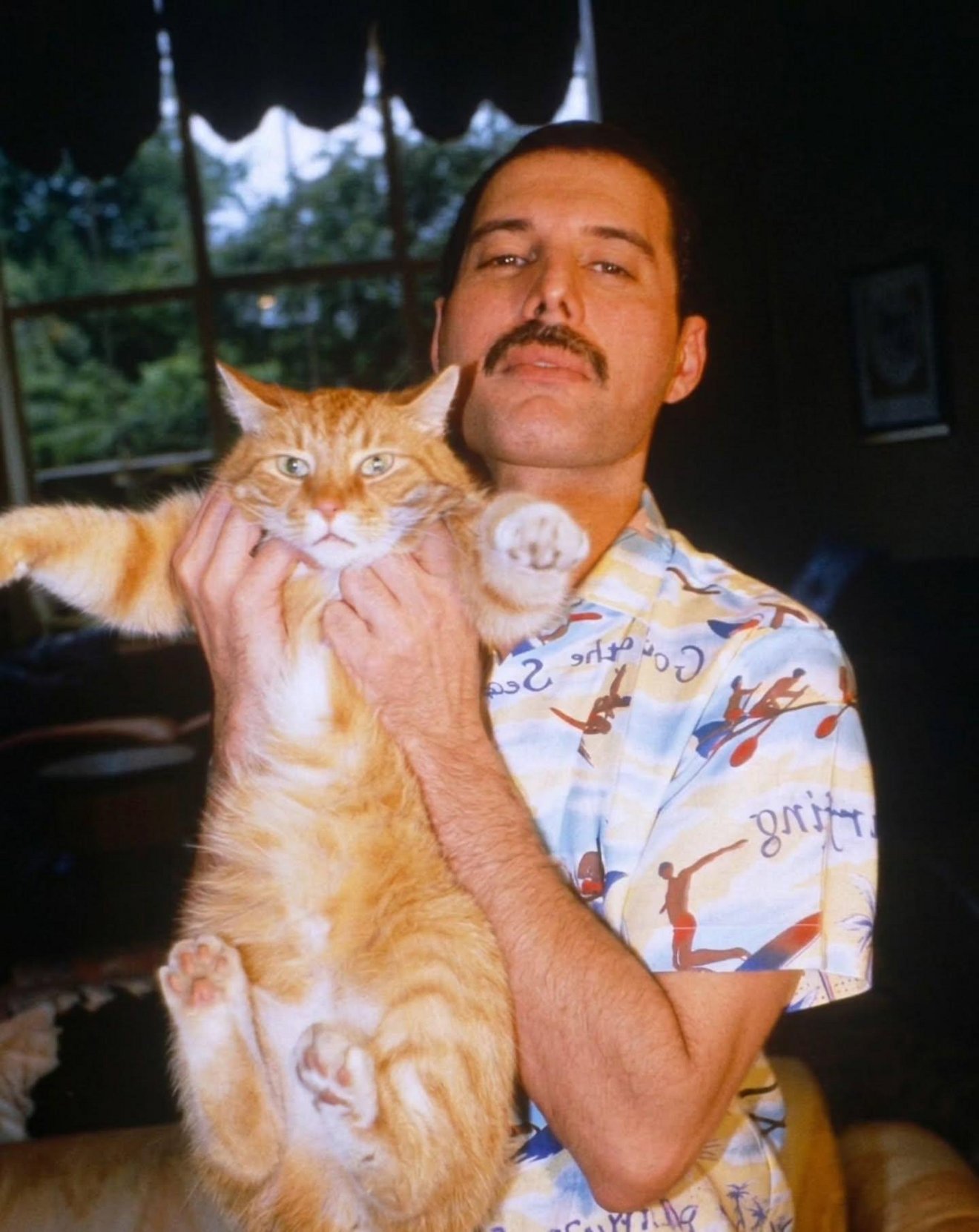 Man with mustache holding a large orange tabby cat indoors