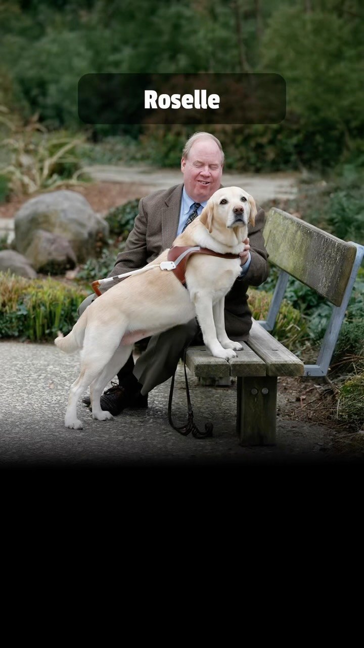 Man in brown jacket sits on bench with cream-colored service dog wearing harness in garden setting