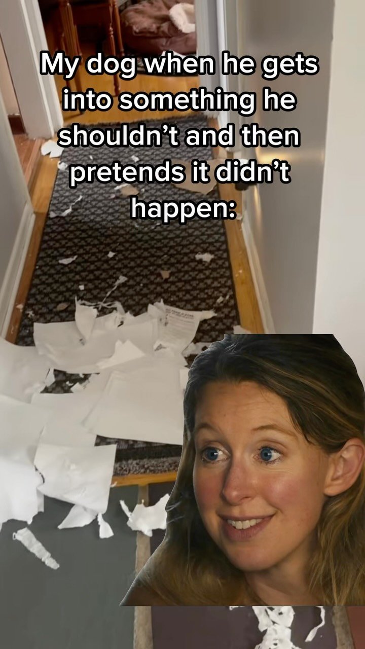 Hallway with shredded white papers scattered on carpet, with woman's guilty expression overlaid