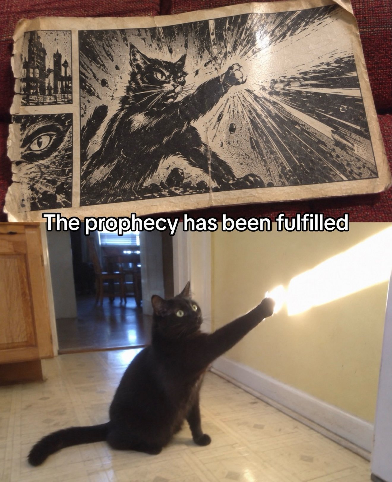 Black cat standing on hind legs with one paw raised toward a ceiling light, mirroring a dramatic black and white comic book panel above