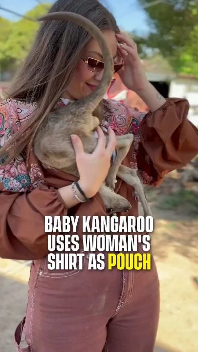 Woman holding a baby kangaroo against her chest while wearing sunglasses and a patterned shirt outdoors