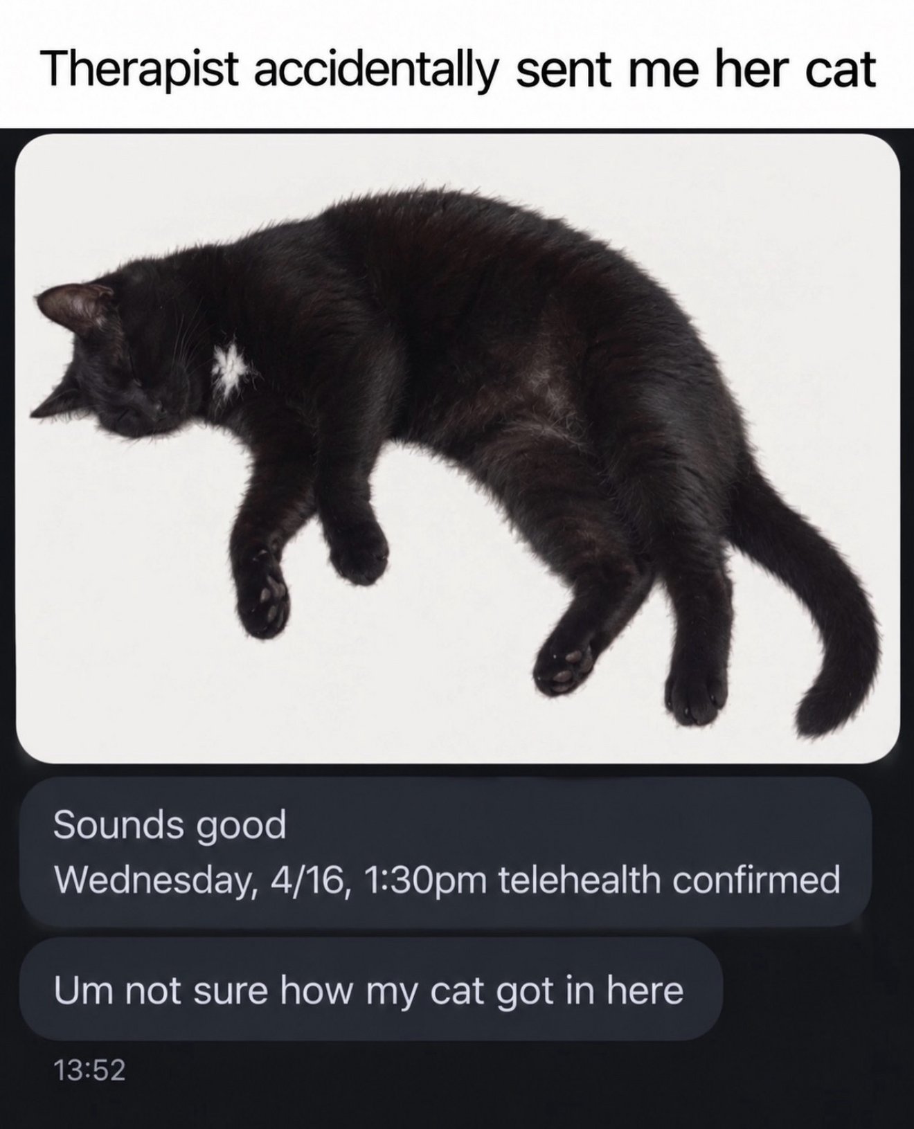 Black cat with white chest marking caught mid-jump against white background, stretched in an awkward horizontal pose