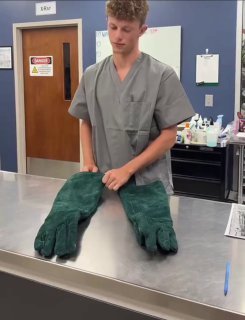 Man in gray scrubs holding up oversized green paw-shaped gloves on a medical examination table