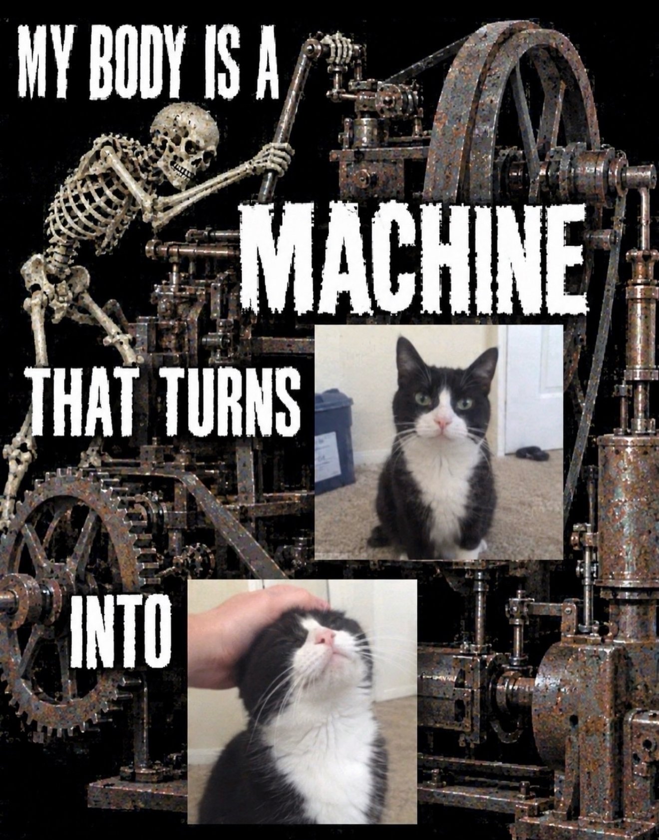 Black and white tuxedo cat with grumpy expression next to vintage industrial machine with skeleton operator