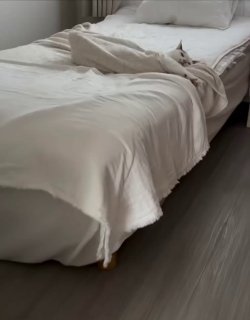 A brown tabby cat peeking out from under rumpled white and beige bedding on a bed