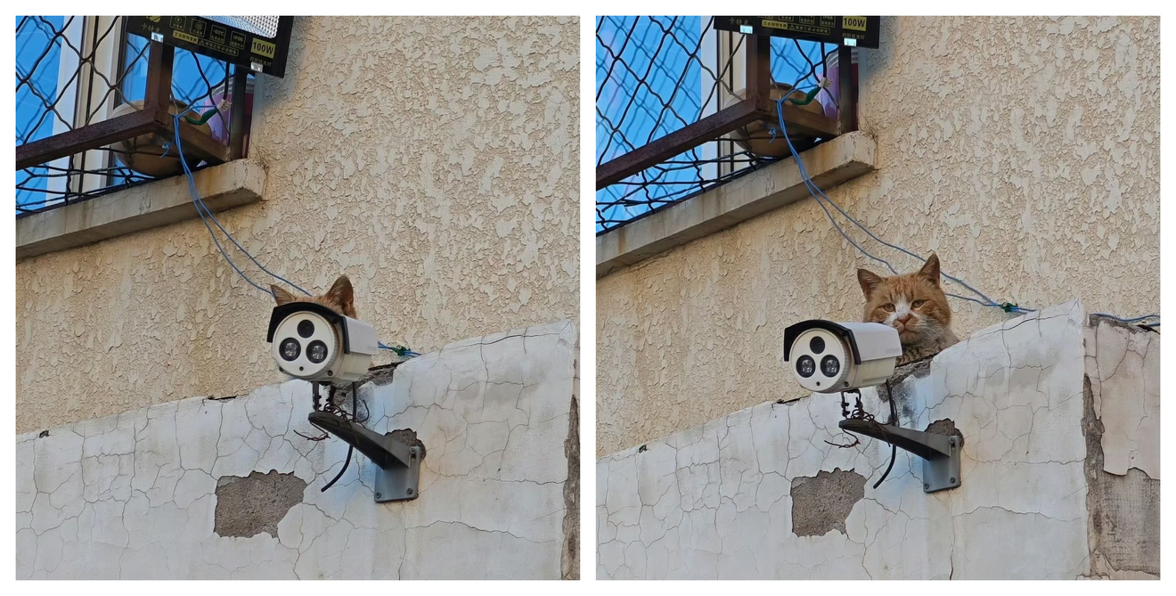 Orange tabby cat sitting behind a surveillance camera mounted on a weathered concrete wall