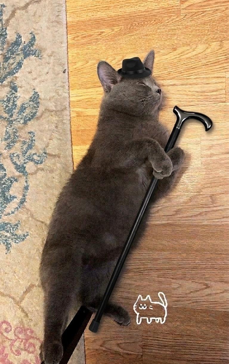 Gray cat lying on wooden floor wearing a tiny black fedora and holding a black cane